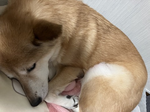 D3961A62-6A67-483E-BE0D-6E303F42620A