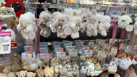 009D70C6-3408-4C73-8933-B3842A835305