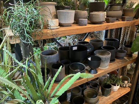 EBAD1A47-D5D4-4A2A-8DF0-ABADADB5DD4C