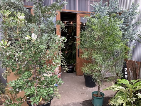 EACEFF95-0CD1-4D12-8363-8EEDA7D04D63