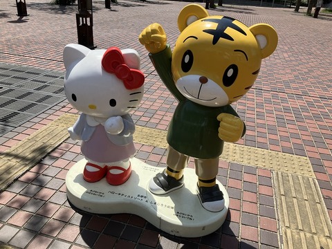 EAE498C7-FC8D-407F-884E-28B110A92559