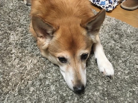 4213FF6C-C0E0-4269-9F3C-8C0BD4D721B6