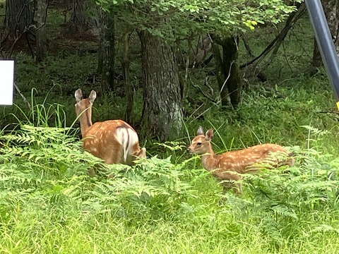 3BB1D7B9-D506-415D-AF8B-664D3E160B88