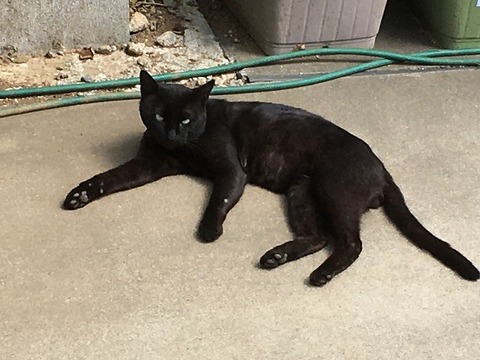 5B1D6A32-9F93-4DA1-A63B-43EC9CB60CB5