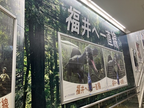 6E362741-C369-4D11-83B8-40ED934F27F1