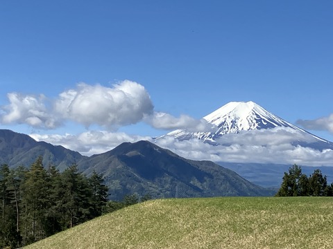 F6039051-CD4F-4595-9C45-BFC79B2B73DD