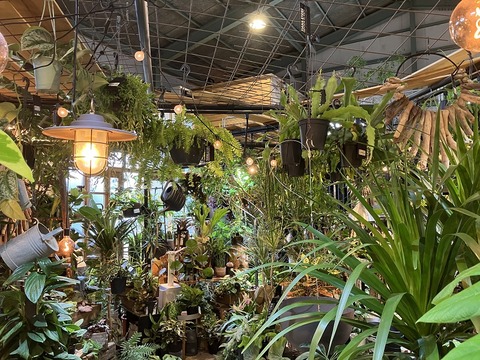 4A79F22E-FDE2-421A-A208-D1B7C56548BC