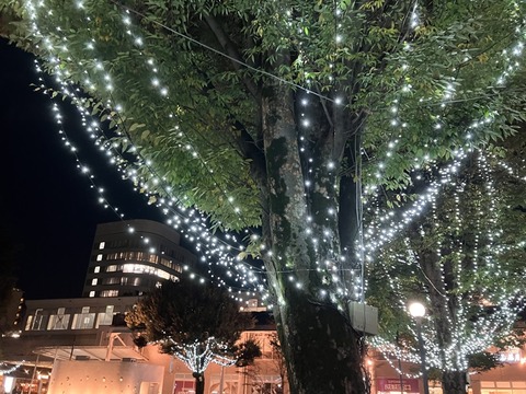 777C6E17-4170-4FB8-B6B3-EB7E595B0FD7