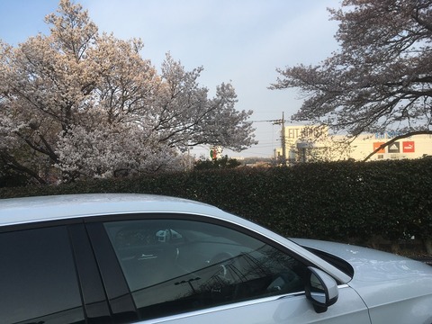 9F11F1DF-7721-457C-BAB0-48BC6C0EF22A