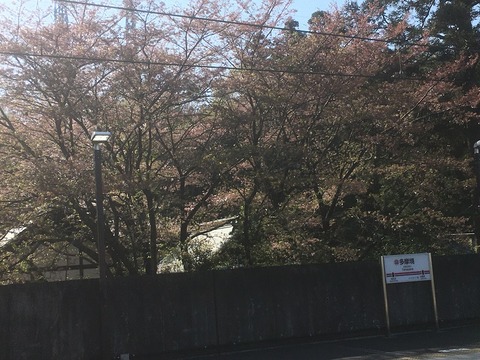 30823166-F8D8-432B-A41C-512B3F6BF733