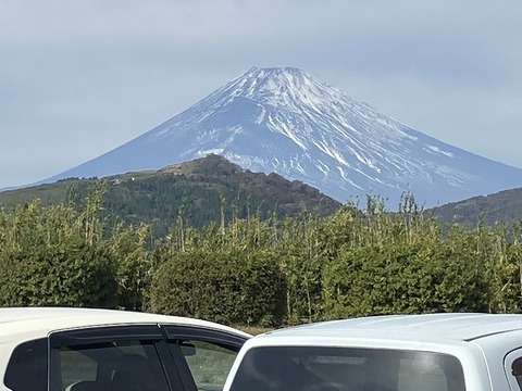 9824DAF9-271B-44C0-81B3-24DF4BA1D1E0