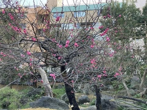 58FE9F3A-E8BB-43F8-8F01-C2DEA9B0855B