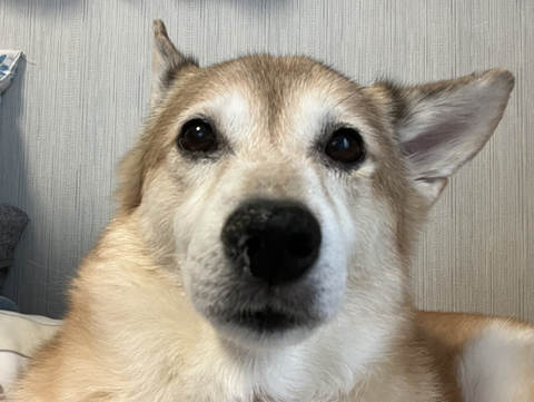 8C77E05A-F720-42D7-B02F-CBC1B4C66882