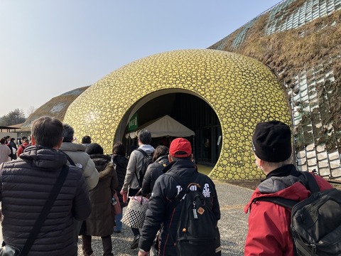 93D990F7-8A9E-410A-80D4-443325D24B47