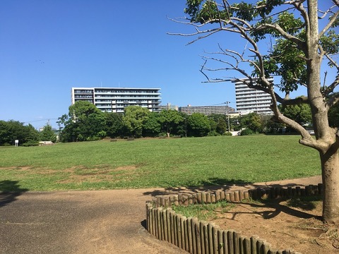 54C835FF-D394-45B8-8B58-993968D3959C