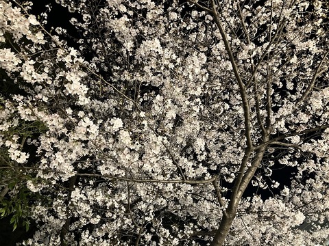 B25F1BAE-EC10-4337-981A-E941F882FB11