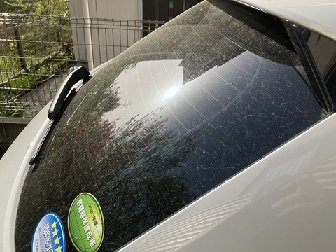 CA99B6BD-3560-464B-A4F8-881DD7857952