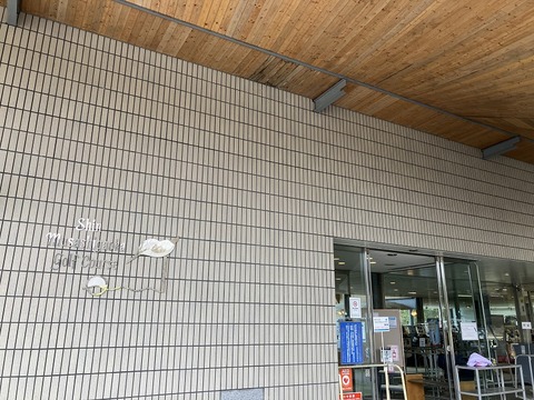 4AC34CE6-7A90-4314-94B5-E2D8086D36AE