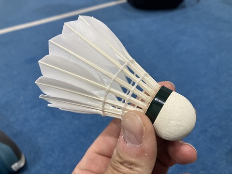 1F37C1CF-0407-43AA-B0CC-E39343A2D7EC