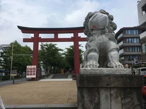 8BD8E99C-C5A2-4D9D-8A57-0489044C3FAC