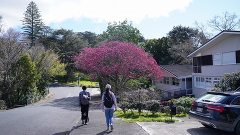 DSC02334