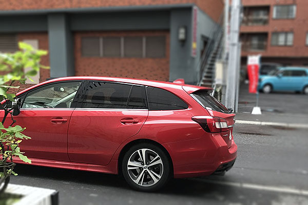 LEVORG