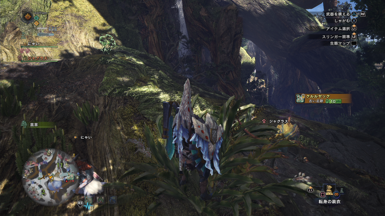 Mhw 深緑のブルース周回ルート 野に咲くハンター日誌 Mhw 深緑のブルース周回ルート 野に咲くハンター日誌