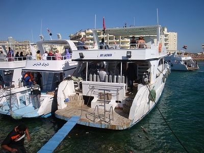 276.jpg