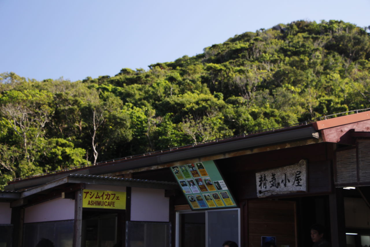 大石林山 沖縄やんばるの森の石林がそびえ立つパワースポット Under Water Sometimes Above Ground 大石林山 沖縄やんばるの森の石林がそびえ立つパワースポット Under Water Sometimes Above Ground