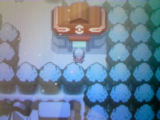 ダイヤモンドダスト コーキ ブログ