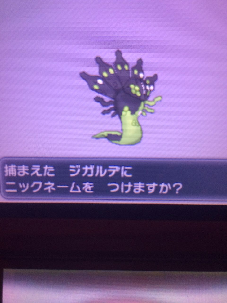 伝説ポケモン集め 眠たいけどゲームしたい 伝説ポケモン集め 眠たいけどゲームしたい