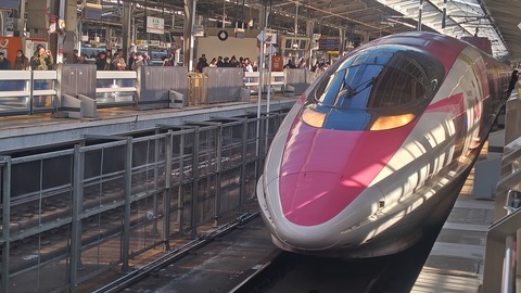 260102113554172IF_1_BURST260102113554172_COVER