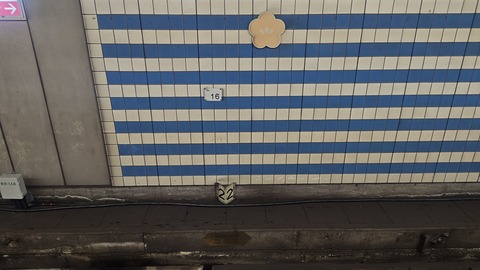 260801112620937