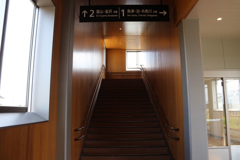 20220803080006_IMG_0885