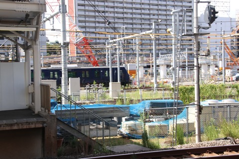 20190908131034_IMG_4486