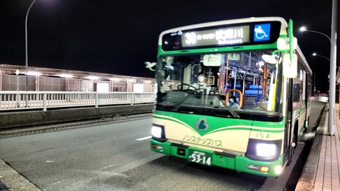 VideoCapture_20230528-202005