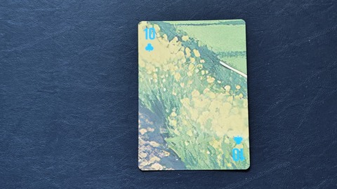 250803175031358IF_1_BURST250803175031358_COVER