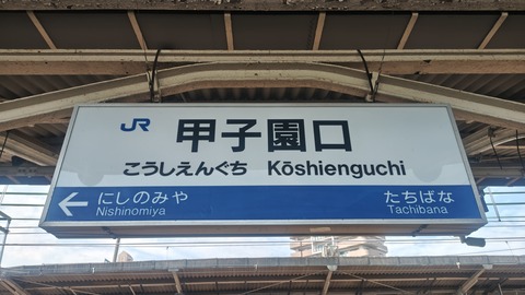 260801142844125