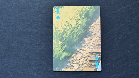 250803175120814IF_1_BURST250803175120814_COVER