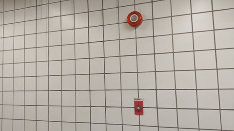 260725065420319