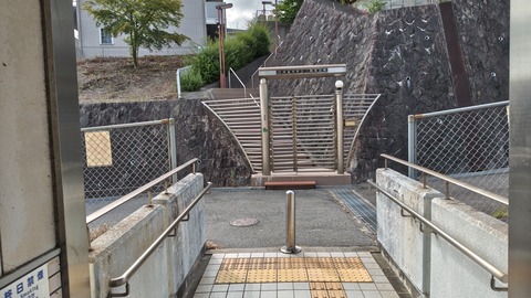 250803083902583IF_1_BURST250803083902583_COVER