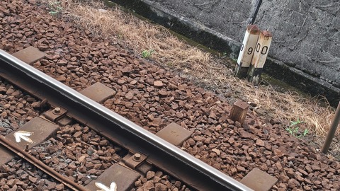 250803083245556IF_2_BURST250803083245556