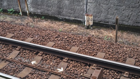 250803083245556IF_1_BURST250803083245556_COVER