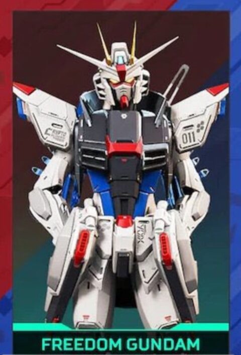 凄く態度の悪いフリーダムガンダムだな…