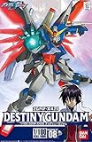 1/100 デスティニーガンダム