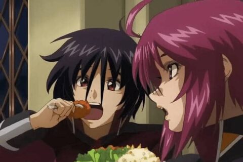 【ガンダムSEED】シンのこのフォークの持ち方は一体…？