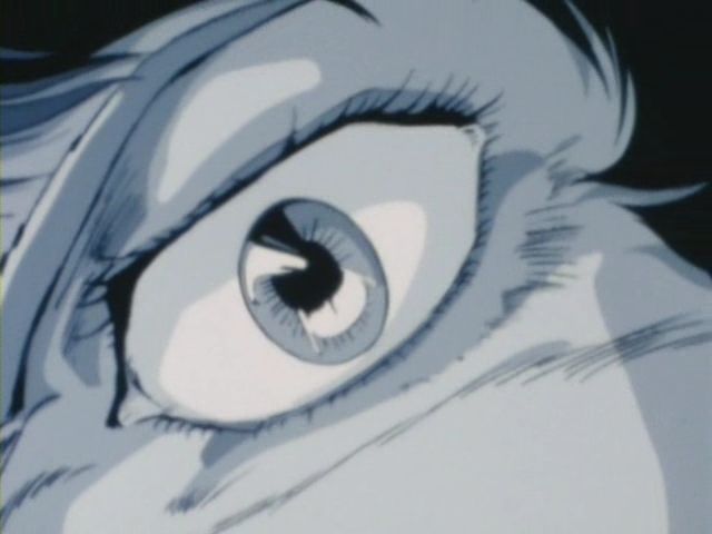 avi_000975141