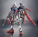 【劇場限定版】HG 1/144 デスティニーガ ン ダ ムSpecⅡ［クリアカラー］劇場版公開記念パッケージ