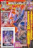 ガンダムエース 2024年3月号 No.259