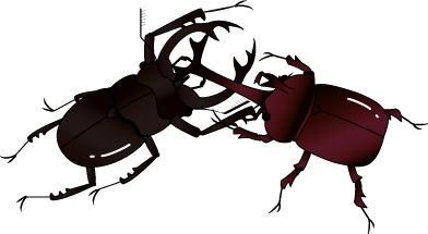 カブトムシ クワガタ